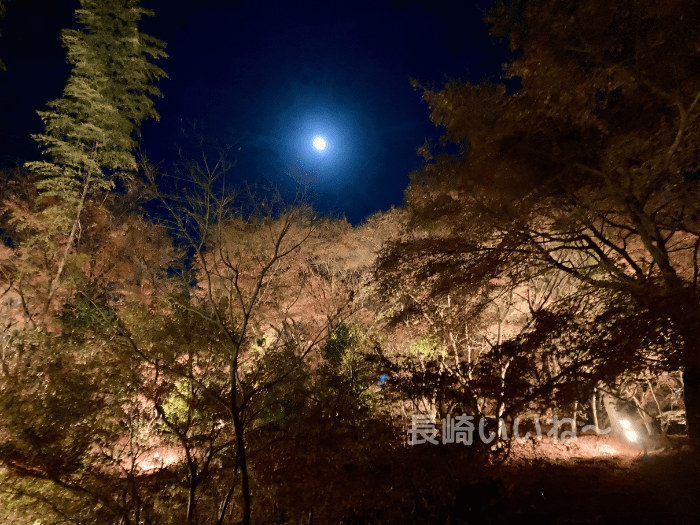 青い月が冴えてより一層幻想的にライトアップ。紅葉が美しい三十路苑